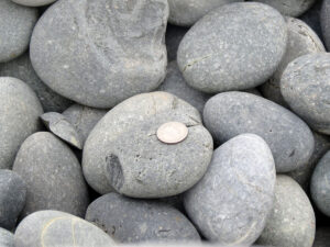 Mexican Beach Pebbles Black - Size
